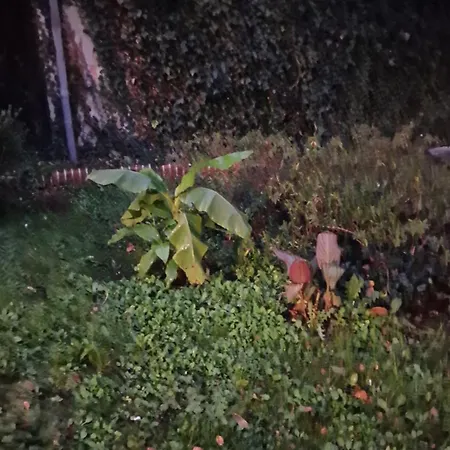 Prázdninový dům Le Petit Marais *